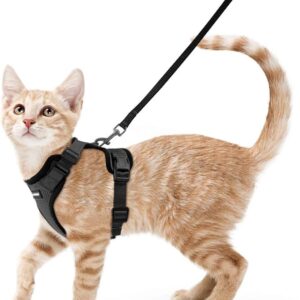 rabbitgoo Cat Harness and Leash for Walking