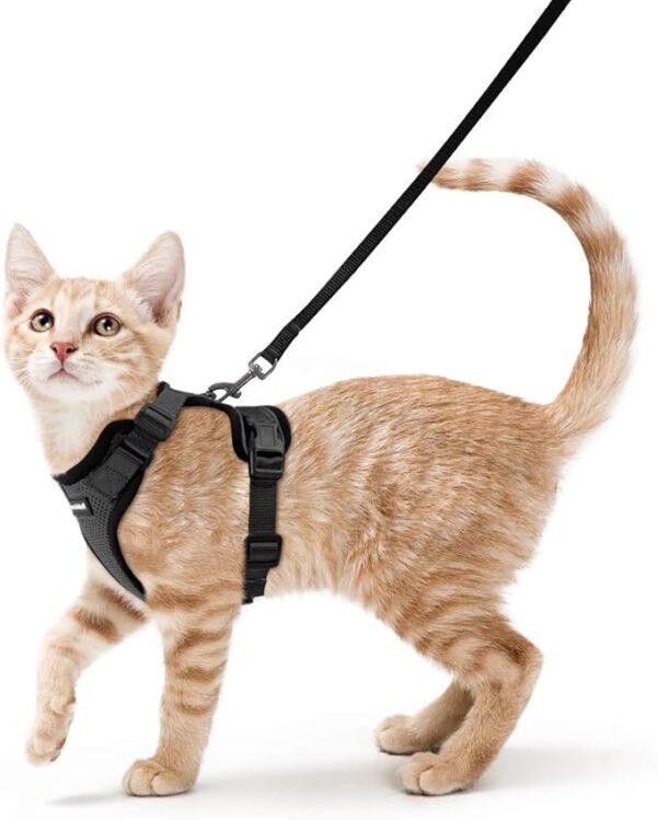 rabbitgoo Cat Harness and Leash for Walking