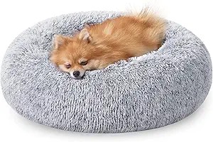 JOLLYVOGUE Calming Dog & Cat Bed for Small Dogs