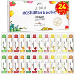DMSKY 24 Pack Lip Balm, Natural Lip Balm Bulk with Vitamin E and Coconut Oil